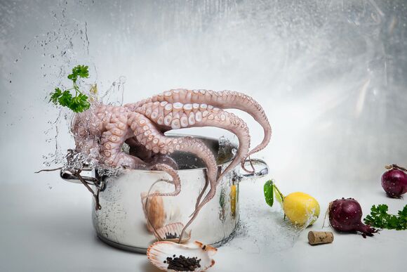 Food- Octopus im Kochtopf