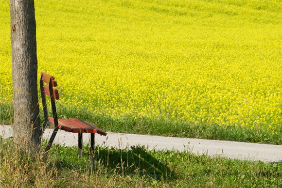 Frühling